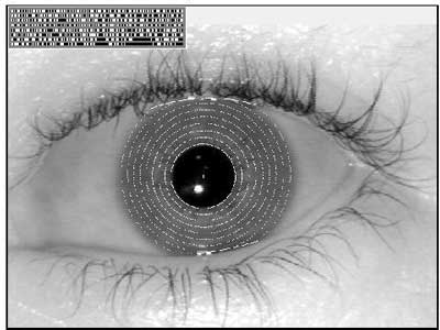  www.cctvonline.ir،تشخیص Iris چشم انسان